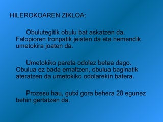HILEROKOAREN ZIKLOA:
Obulutegitik obulu bat askatzen da.
Falopioren tronpatik jeisten da eta hemendik
umetokira joaten da.
Umetokiko pareta odolez betea dago.
Obulua ez bada ernaltzen, obulua baginatik
ateratzen da umetokiko odolarekin batera.
Prozesu hau, gutxi gora behera 28 egunez
behin gertatzen da.

 
