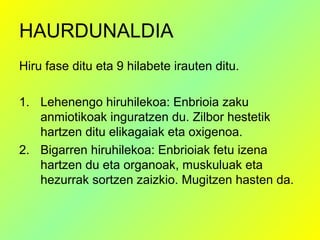HAURDUNALDIA
Hiru fase ditu eta 9 hilabete irauten ditu.
1. Lehenengo hiruhilekoa: Enbrioia zaku
anmiotikoak inguratzen du. Zilbor hestetik
hartzen ditu elikagaiak eta oxigenoa.
2. Bigarren hiruhilekoa: Enbrioiak fetu izena
hartzen du eta organoak, muskuluak eta
hezurrak sortzen zaizkio. Mugitzen hasten da.

 