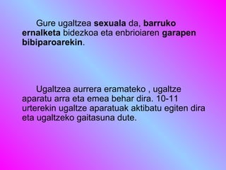 Gure ugaltzea sexuala da, barruko
ernalketa bidezkoa eta enbrioiaren garapen
bibiparoarekin.

Ugaltzea aurrera eramateko , ugaltze
aparatu arra eta emea behar dira. 10-11
urterekin ugaltze aparatuak aktibatu egiten dira
eta ugaltzeko gaitasuna dute.

 