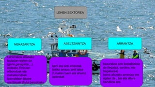 LEHEN SEKTOREA
NEKAZARITZA ABELTZAINTZA ARRANTZA
Lehorrekoa Arabako
lautadan egiten da
(garia,garagarra,...)
Arabako Errioxan
olibondoak eta
mahatsondoak
Iparraldean labore
ureztatuak (fruta barazkiak)
baxurakoa edo kostaldekoa
da (legatza, sardina, eta
hegaluzea)
baina alturako arrantza ere
egiten da , bai eta altura
handikoa ere
behi eta ardi aziendak
tokiko arraza: ardi latxa
2.mailan txerri eta ahuntz
aziendak
 