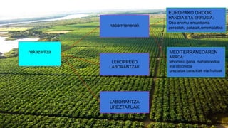 nekazaritza
nabarmenenak
EUROPAKO ORDOKI
HANDIA ETA ERRUSIA:
Oso eremu emankorra
zerealak, patatak,erremolatxa
MEDITERRANEOAREN
ARROA:
lehorreko:garia, mahatsondoa
eta olibondoa
ureztatua:barazkiak eta fruituak
LABORANTZA
UREZTATUAK
LEHORREKO
LABORANTZAK
 