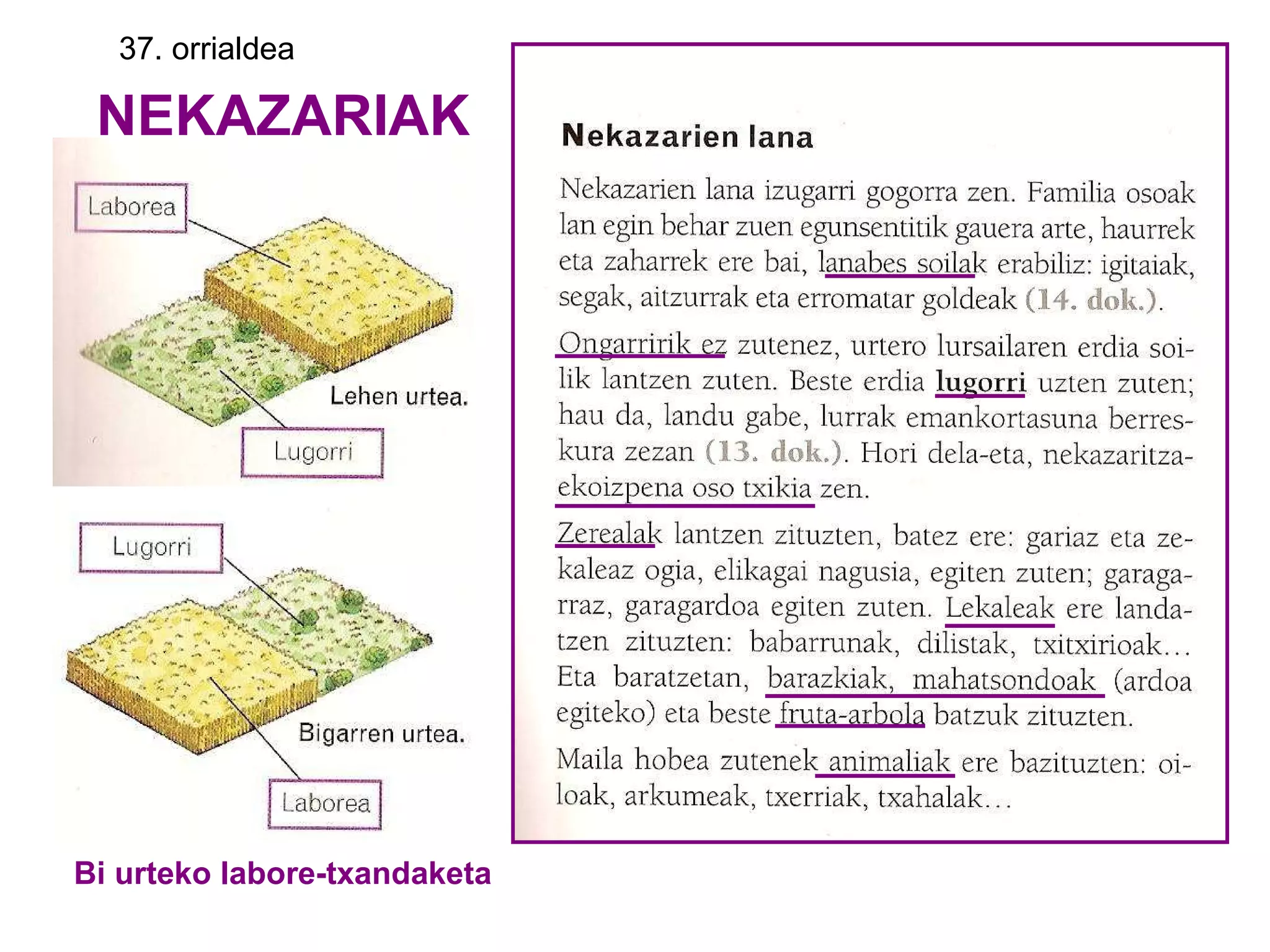 NEKAZARIAK 37. orrialdea Bi urteko labore-txandaketa 