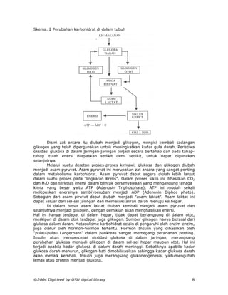 Skema. 2 Perubahan karbohidrat di dalam tubuh




        Disini zat antara itu diubah menjadi glikogen, mengisi kembali cadangan
glikogen yang telah dipergunakan untuk meningkatkan kadar gula darah. Peristiwa
oksidasi glukosa di dalam jaringan-jaringan terjadi secara bertahap dan pada tahap-
tahap itulah enersi dilepaskan sedikit demi sedikit, untuk dapat digunakan
selanjutnya.
        Melalui suatu deretan proses-proses kimiawi, glukosa dan glikogen diubah
menjadi asam pyruvat. Asam pyruvat ini merupakan zat antara yang sangat penting
dalam metabolisme karbohidrat. Asam pyruvat dapat segera diolah lebih lanjut
dalam suatu proses pada "lingkaran Krebs". Dalam proses siklis ini dihasilkan CO2
dan H2O dan terlepas enersi dalam bentuk persenyawaan yang mengandung tenaga
kimia yang besar yaitu ATP (Adenosin Triphosphate). ATP ini mudah sekali
melepaskan enersinya sambi}berubah menjadi ADP (Adenosin Diphos phate).
Sebagian dari asam piruvat dapat diubah menjadi "asam laktat". Asam laktat ini
dapat keluar dari sel-sel jaringan dan memasuki aliran darah menuju ke hepar.
        Di dalam hepar asam laktat diubah kembali menjadi asam pyruvat dan
selanjutnya menjadi glikogen, dengan demikian akan menghasilkan enersi.
Hal ini hanya terdapat di dalam hepar, tidak dapat berlangsung di dalam otot,
meskipun di dalam otot terdapat juga glikogen. Sumber glikogen hanya berasal dari
glukosa dalam darah. Metabolisme karbohidrat selain di pengaruhi oleh enzim-enzim,
juga diatur oleh hormon-hormon tertentu. Hormon Insulin yang dihasilkan oleh
"pulau-pulau Langerhans" dalam pankreas sangat memegang perananan penting.
Insulin akan mempercepat oksidasi glukosa di dalam jaringan, merangsang
perubahan glukosa menjadi glikogen di dalam sel-sel hepar maupun otot. Hal ini
terjadi apabila kadar glukosa di dalam darah meninggi. Sebaliknya apabila kadar
glukosa darah menurun, glikogen hati dimobilisasikan sehingga kadar glukosa darah
akan menaik kembali. Insulin juga merangsang glukoneogenesis, yaitumengubah
lemak atau protein menjadi glukosa.




©2004 Digitized by USU digital library                                           8
 