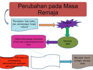 Perubahan pada Masa
Remaja
Perubahan fisik, psikis,
dan pematangan fungsi
seksual
Puberta
s
Hormon
aktif
Follicle-Stimulating Hormone
(FSH); dan Luteinizing Hormone
(LH)
Perempuan : FSH dan LH
merangsang
pertumbuhan estrogen
dan progesteron
Laki-laki : LH
merangsang pertumbuhan
testosterone
Merubah sistem
biologis seorang
anak
 