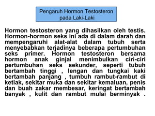 Hormon testosteron yang dihasilkan oleh testis.
Hormon-hormon seks ini ada di dalam darah dan
mempengaruhi alat-alat dalam tubuh serta
menyebabkan terjadinya beberapa pertumbuhan
seks primer. Hormon testosteron bersama
hormon anak ginjal menimbulkan ciri-ciri
pertumbuhan seks sekunder, seperti tubuh
bertambah tinggi , lengan dan tungkai kaki
bertambah panjang , tumbuh rambut-rambut di
ketiak, sekitar muka dan sekitar kemaluan, penis
dan buah zakar membesar, keringat bertambah
banyak , kulit dan rambut mulai berminyak .
Pengaruh Hormon Testosteron
pada Laki-Laki
 