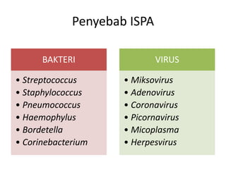 Penyebab ISPA
BAKTERI
• Streptococcus
• Staphylococcus
• Pneumococcus
• Haemophylus
• Bordetella
• Corinebacterium
VIRUS
• Miksovirus
• Adenovirus
• Coronavirus
• Picornavirus
• Micoplasma
• Herpesvirus
 