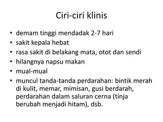 Ciri-ciri klinis
• demam tinggi mendadak 2-7 hari
• sakit kepala hebat
• rasa sakit di belakang mata, otot dan sendi
• hilangnya napsu makan
• mual-mual
• muncul tanda-tanda perdarahan: bintik merah
di kulit, memar, mimisan, gusi berdarah,
perdarahan dalam saluran cerna (tinja
berubah menjadi hitam), dsb.
 