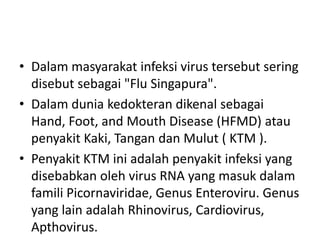 • Dalam masyarakat infeksi virus tersebut sering
disebut sebagai "Flu Singapura".
• Dalam dunia kedokteran dikenal sebagai
Hand, Foot, and Mouth Disease (HFMD) atau
penyakit Kaki, Tangan dan Mulut ( KTM ).
• Penyakit KTM ini adalah penyakit infeksi yang
disebabkan oleh virus RNA yang masuk dalam
famili Picornaviridae, Genus Enteroviru. Genus
yang lain adalah Rhinovirus, Cardiovirus,
Apthovirus.
 