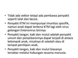 • Tidak ada vektor tetapi ada pembawa penyakit
seperti lalat dan kecoa.
• Penyakit KTM ini mempunyai imunitas spesifik,
namun anak dapat terkena KTM lagi oleh virus
golongan Enterovirus lainnya.
• Penyakit tangan, kaki dan mulut adalah penyakit
umum dan penyebarannya dapat terjadi di antara
kelompok anak, misalnya di sekolah atau di
tempat penitipan anak.
• Penyakit tangan, kaki dan mulut biasanya
tersebar melalui hubungan sesama manusia.
 