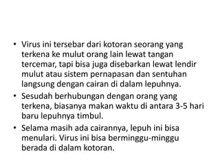 • Virus ini tersebar dari kotoran seorang yang
terkena ke mulut orang lain lewat tangan
tercemar, tapi bisa juga disebarkan lewat lendir
mulut atau sistem pernapasan dan sentuhan
langsung dengan cairan di dalam lepuhnya.
• Sesudah berhubungan dengan orang yang
terkena, biasanya makan waktu di antara 3-5 hari
baru lepuhnya timbul.
• Selama masih ada cairannya, lepuh ini bisa
menulari. Virus ini bisa berminggu-minggu
berada di dalam kotoran.
 