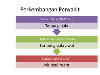 Perkembangan Penyakit
Stadium akhir (3-5 hari)
Muncul ruam
Stadium Prodromal (2-4 hari)
Timbul gejala awal
Stadium Tunas (10-12 hari)
Tanpa gejala
 