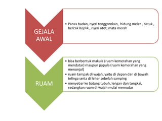 GEJALA
AWAL
• Panas badan, nyeri tenggorokan, hidung meler , batuk ,
bercak Koplik , nyeri otot, mata merah
RUAM
• bisa berbentuk makula (ruam kemerahan yang
mendatar) maupun papula (ruam kemerahan yang
menonjol)
• ruam tampak di wajah, yaitu di depan dan di bawah
telinga serta di leher sebelah samping
• menyebar ke batang tubuh, lengan dan tungkai,
sedangkan ruam di wajah mulai memudar
 