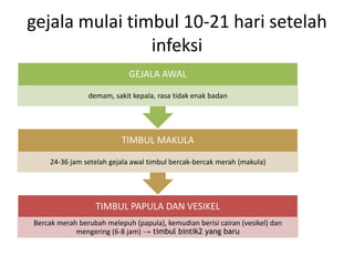 gejala mulai timbul 10-21 hari setelah
infeksi
TIMBUL PAPULA DAN VESIKEL
Bercak merah berubah melepuh (papula), kemudian berisi cairan (vesikel) dan
mengering (6-8 jam) → timbul bintik2 yang baru
TIMBUL MAKULA
24-36 jam setelah gejala awal timbul bercak-bercak merah (makula)
GEJALA AWAL
demam, sakit kepala, rasa tidak enak badan
 