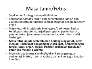 Masa Janin/Fetus
• Sejak umur 9 minggu sampai kelahiran
• Perubahan somatik terdiri dari penambahan jumlah dan
ukuran sel serta perubahan kembali struktur beberapa sistem
organ
• Masa fetus dini: sejak usia 9 minggu s/d trimester kedua
kehidupan intrauterin, terjadi percepatan pertumbuhan,
pembentukan jasad manusia sempurna, alat tubuh mulai
berfungsi
• Masa fetus lanjut: pertumbuhan berlangsung pesat, berat
menjadi 3 kali lipat dan panjang 2 kali lipat, perkembangan
fungsi-fungsi organ, terjadi transfer kekebalan tubuh dari
darah ibu melalui plasenta
• Mortalitas pada masa ini disebabkan karena gangguan
oksigenasi, infeksi, trauma, radiasi, bahan kimia, gizi ibu, dan
imunitas
 