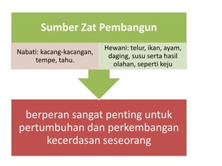 berperan sangat penting untuk
pertumbuhan dan perkembangan
kecerdasan seseorang
Sumber Zat Pembangun
Nabati: kacang-kacangan,
tempe, tahu.
Hewani: telur, ikan, ayam,
daging, susu serta hasil
olahan, seperti keju
 