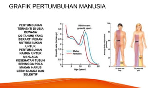 GRAFIK PERTUMBUHAN MANUSIA
PERTUMBUHAN
TERHENTI DI USIA
DEWASA
(20 TAHUN) YANG
BERARTI PERAN
NUTRISI BUKAN
UNTUK
PERTUMBUHAN
NAMUN UNTUK
MENJAGA
KESEHATAN TUBUH
SEHINGGA POLA
MAKAN HARUS
LEBIH DIJAGA DAN
SELEKTIF
 