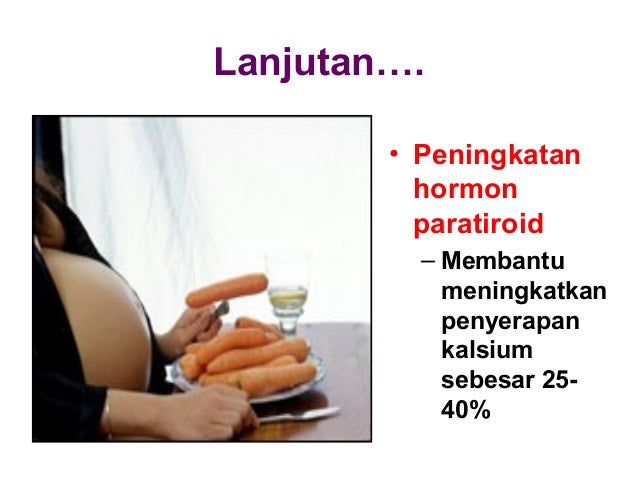 Gizi ibu hamil