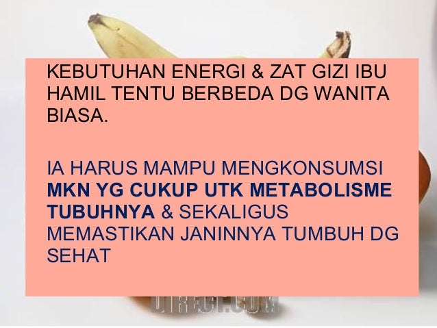 Gizi ibu hamil