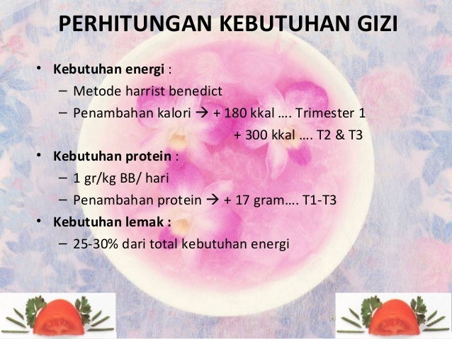 Contoh Menu Makanan Ibu Hamil Trimester 1 - Galeri Sampul