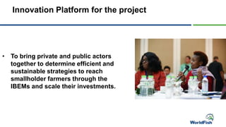 Innovation Platform for the project
• To bring private and public actors
together to determine efficient and
sustainable strategies to reach
smallholder farmers through the
IBEMs and scale their investments.