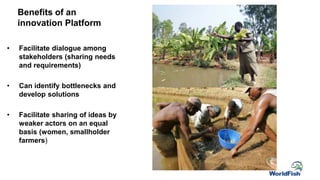 • Facilitate dialogue among
stakeholders (sharing needs
and requirements)
• Can identify bottlenecks and
develop solutions
• Facilitate sharing of ideas by
weaker actors on an equal
basis (women, smallholder
farmers)
Benefits of an
innovation Platform