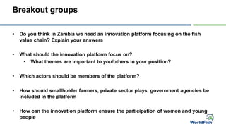 Breakout groups
• Do you think in Zambia we need an innovation platform focusing on the fish
value chain? Explain your answers
• What should the innovation platform focus on?
• What themes are important to you/others in your position?
• Which actors should be members of the platform?
• How should smallholder farmers, private sector plays, government agencies be
included in the platform
• How can the innovation platform ensure the participation of women and young
people