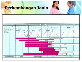 Perkembangan Janin
 