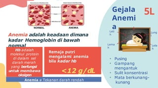 MATERI GIZI SEIMBANG DAN ANEMIA _MPLS.pptx