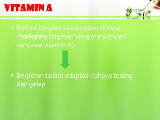 VITAMIN A
 • Retinal berpartisipasi dalam sintesa
   rhodopsin (pigmen yang menyimpan
   senyawa vitamin A)



 • Berperan dalam adaptasi cahaya terang
   dan gelap
 