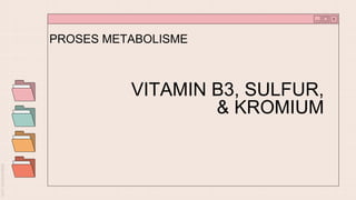 VITAMIN B3, SULFUR,
& KROMIUM
PROSES METABOLISME
 