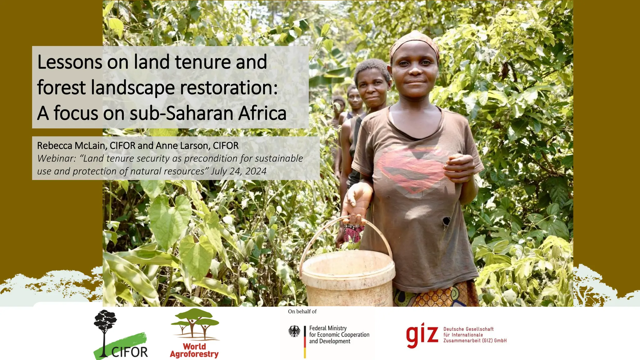 thumbnail of  Lessons on land tenure and forest landscape restoration: A focus on sub-Saharan Africa