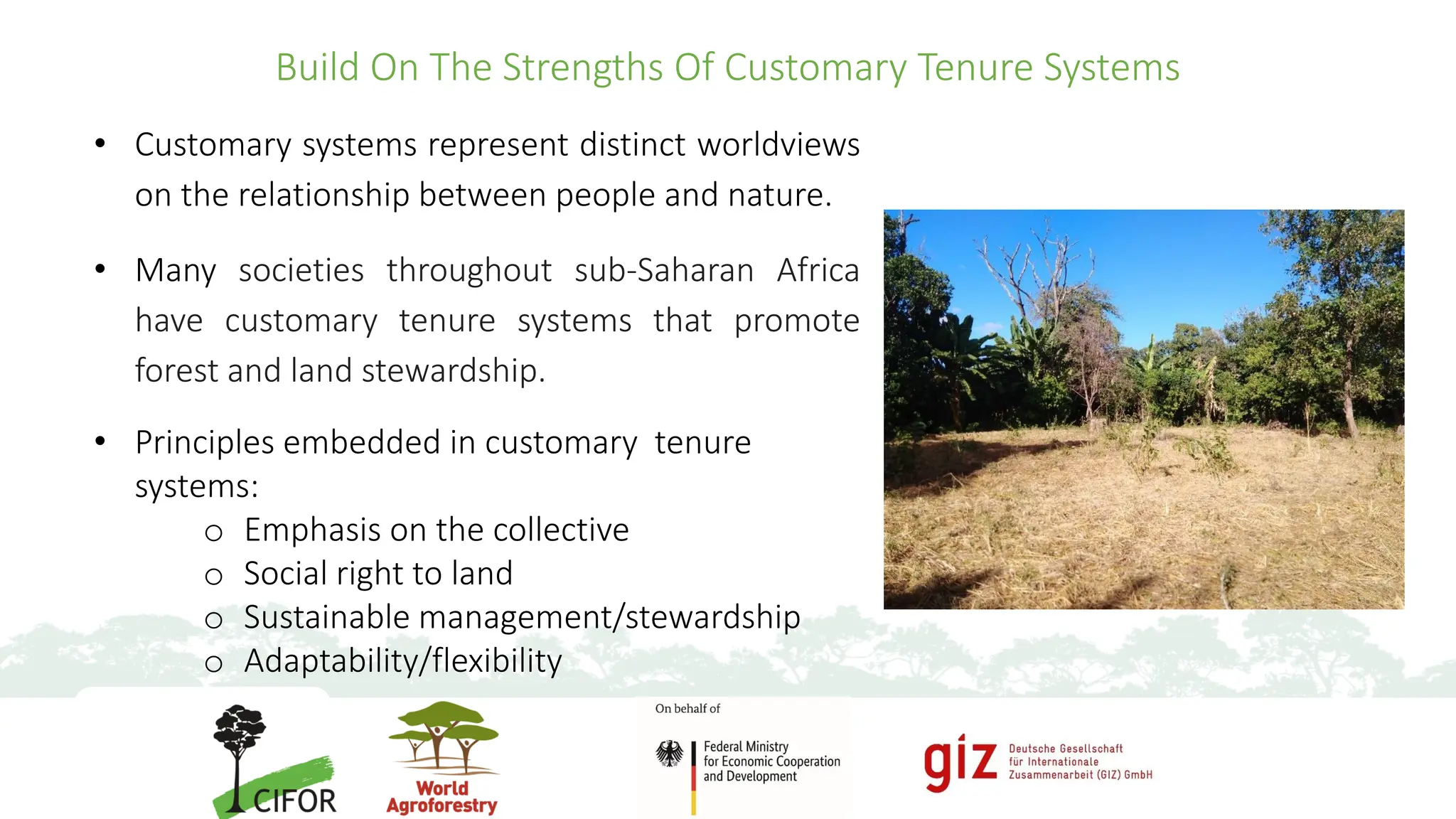Lessons on land tenure and forest landscape restoration: A focus on sub ...