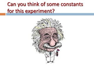 Can you think of some constants 
for this experiment? 
 