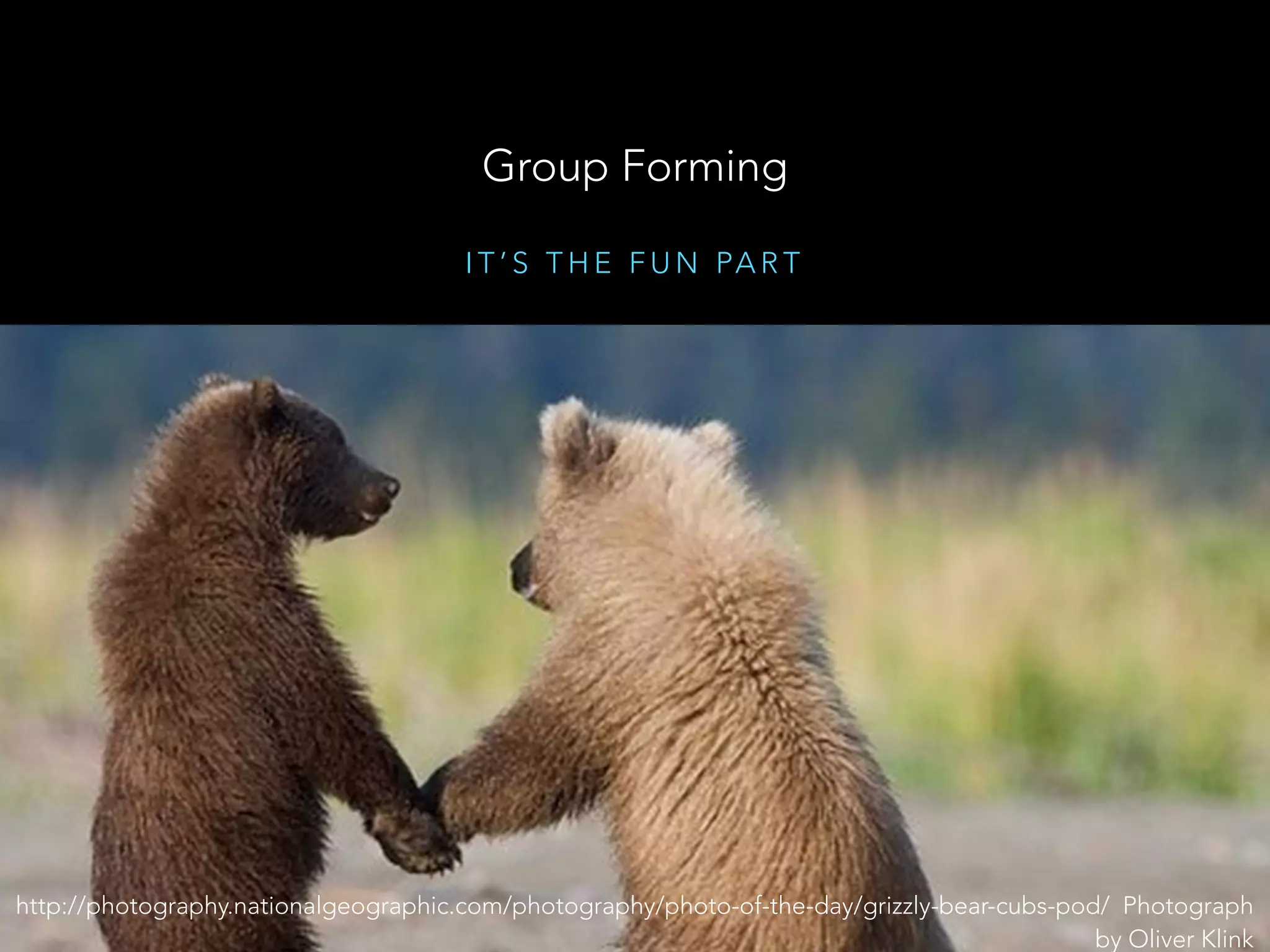 Group Forming Processes - Experiences and Best Practice from Different ...