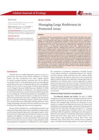 Global Journal of Ecology
Citation: Found R (2016) Managing Large Herbivores in Protected Areas. Glob J Ecol 1(1): 001-011.
001
Abstract
By nature of their size, grouping behaviour, and central position within most trophic webs, large
terrestrial herbivores -- namely ungulates and elephants -- tend to be both keystone and umbrella
species. Their proportionately large impacts on ecosystems extend both top-down (i.e. regulation of
vegetation), but also bottom up (regulated their predators). For these reasons, as well as their cultural
and economic importance to humans around the world, large herbivores are among the most heavily
managed species in any region. Large herbivores have historically been managed by the fact that
hunting by humans – or an intentional or forced reduction in that hunting – effectively plays its own
top-down role of regulating herbivores. Managing large herbivores in protected areas presents a
different set of challenges, however, because where human can no longer hunt large herbivores, the
role of humans in the ecosystem is changed dramatically. The necessity of regulating both over and
underabundant large herbivore populations remains, however, but we are now challenged to affect this
management from outside of our former predator-prey relationships. I reviewed the major approaches
to managing large herbivores in protected areas, from a historical perspective, through the development
of protected areas and conservation ethics, to more modern methods such as wildlife contraception and
behavioural modification. I examine each of these methods from a broader perspective that give further
consideration to the impacts on species other than the target species. I synthesize these approaches
them from the perspective of holistic ecosystem management, where each method acts to replace a
part of ecosystem function that has otherwise been lost by the very fact the herbivore population is
in a protected area. As the amount of undisturbed habitat for large herbivores decreases worldwide,
these iconic species are increasingly confined only to protected areas, making specific strategies for
managing their populations even more important.
the consequences of inadequate management. Ironically, because
of past human interference, maintaining balanced and “natural”
ecosystem function within protected areas often requires further
human interference. The objective of this review was to examine the
different methods humans have employed to manage large herbivore
populations, but synthesize them as reactive approaches to replace
natural ecosystem process that have been lost. Protected areas have
changed our relationship with what essentially is our former prey, but
I argue that sustainable management of large herbivores can only be
achieved by restoring intactness to ecosystems in which humans are
an active part.
Historical large herbivore management
Pre-industrial attitudes and actions: The goal of wildlife
management is to decide how best to manipulate ecosystems towards
specific ecological but also human goals within that protected area.
Humans have managed large herbivores for thousands of years,
namely as a continuous and important food source for humans, and
particularly as human groups began coalescing in larger groups that
could be fed more efficiently with larger prey species [7]. As long as
11,000 years ago opportunistic hunting by natives was “culturally
modifying” herbivore populations, and humans were at least partly to
blame for the extirpation of mammoths (Mammuthus primigenius)
and the last horses (Equus spp.) native to North America [8]. In
North America, large populations of bison (Bison bison), deer
(Odocoileus spp.), moose (Alces alces), and elk (Cervus canadensis)
came to be found only the large swaths of “no-man’s-land” found
Introduction
Protected areas are usually designated to preserve an area in a
natural state, free from excessive human disturbance [1]. Because
humans and their infrastructure have many negative impacts
on natural ecosystem functions, protected areas can be effective
conservation tools [2]. Some protected areas may even be designated
specifically to protect rare or endangered species, such as the ungulate
sambar (Cervus unicolor) and the tigers (Panthera tigris) that prey
on it in Thung Yai Naresuan Wildlife Sanctuary, Thailand [3]. While
curtailing global declines in biodiversity is an important objective
for protecting natural areas, protected areas also benefit species that
are not endangered, and by having optimal sizes of populations of
large fauna, overall ecosystem function is enhanced [4]. However,
protected areas themselves may result in changes to the role humans
play in a naturally functioning ecosystem, and disconnect humans
from natural predator-prey relationships with large herbivores. These
change relationships with species that may formerly have been prey
for humans thus changes the ways we must manage them.
Because of their individual size, overall population biomass, and
subsequently large habitat requirements, populations of large animals
can have proportionately large positive and negative impacts on the
protected area [4]. Most large terrestrial herbivores (here we consider
ungulates and elephants, Loxodonta spp.) are gregarious [5] and
exist in larger population sizes than their predators. This makes large
herbivores not only more prone to hyper or hypo abundance when
natural population management is insufficient [6], it also magnifies
Review Article
Managing Large Herbivores in
Protected Areas
Rob Found*
Department of Biological Sciences, University of
Alberta, Edmonton, AB, Canada
Dates: Received: 24 May, 2016; Accepted: 13
August, 2016; Published: 17 August, 2016
*Corresponding author: Rob Found, Department of
Biological Sciences, University of Alberta, Edmonton,
AB, Canada, T6G 2R3, E-mail:
www.peertechz.com
Keywords: Ungulates; Elephants; Management;
Protected areas; Conservation; Ecological integrity
 