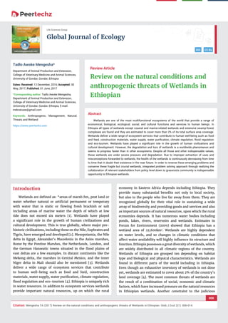vv
Global Journal of Ecology
DOI CC By
006
Citation: Mengesha TA (2017) Review on the natural conditions and anthropogenic threats of Wetlands in Ethiopian. Glob J Ecol 2(1): 006-014.
Life Sciences Group
Abstract
Wetlands are one of the most multifunctional ecosystems of the world that provide a range of
economical, biological, ecological, social, and cultural functions and services to human beings. In
Ethiopia all types of wetlands except coastal and marine-related wetlands and extensive swamp-forest
complexes are found and they are estimated to cover more than 2% of its total surface area coverage.
Wetlands deliver a wide range of ecosystem services that contribute to human well-being such as food
and feed, construction materials, water supply, water puriﬁcation, climate regulation, ﬂood regulation
and eco-tourism. Wetlands have played a signiﬁcant role in the growth of human civilizations and
cultural development. However, the degradation and loss of wetlands is a worldwide phenomenon and
seems to progress faster than in other ecosystems. Despite all those and other indispensable values,
these wetlands are under severe pressure and degradation. Due to improper extraction of uses and
misconceptions forwarded to wetlands, the health of the wetlands is continuously decreasing from time
to time that in doubt their existence in the near future. In order to reverse these emerging problems and
conserve these fragile but crucial wetlands, integrated problem solving approach through realizing the
collaboration of relevant stakeholders from policy level down to grassroots community is indispensable
opportunity to Ethiopian wetlands.
Review Article
Review on the natural conditions and
anthropogenic threats of Wetlands in
Ethiopian
Tadlo Awoke Mengesha*
Department of Animal Production and Extension,
College of Veterinary Medicine and Animal Sciences,
University of Gondar, Gondar, Ethiopia
Dates: Received: 13 December, 2016; Accepted: 30
May, 2017; Published: 01 June, 2017
*Corresponding author: Tadlo Awoke Mengesha,
Department of Animal Production and Extension,
College of Veterinary Medicine and Animal Sciences,
University of Gondar, Gondar, Ethiopia, E-mail:
Keywords: Anthropogenic; Management; Natural;
Threats and Wetland
https://www.peertechz.com
Introduction
Wetlands are deﬁned as: “areas of marsh fen, peat land or
water whether natural or artiﬁcial permanent or temporary
with water that is static or ﬂowing fresh brackish or salt
including areas of marine water the depth of which at low
tide does not exceed six meters [1]. Wetlands have played
a signiﬁcant role in the growth of human civilizations and
cultural development. This is true globally, where major pre-
historic civilizations, including those on the Nile, Euphrates and
Tigris, have emerged and developed [2]. Mesopotamia, the Nile
delta in Egypt, Alexander’s Macedonia in the Axios marshes,
Rome by the Pontine Marshes, the Netherlands, London, and
the German Hanseatic towns situated in the ﬂood plains of
vast deltas are a few examples. In distant continents like the
Mekong delta, the marshes in Central Mexico, and the inner
Niger delta in Mali should also be mentioned [3]. Wetlands
deliver a wide range of ecosystem services that contribute
to human well-being such as food and feed, construction
materials, water supply, water puriﬁcation, climate regulation,
ﬂood regulation and eco-tourism [4]. Ethiopia is uniquely rich
in water resources. In addition to ecosystem services wetlands
provide important natural resources, up on which the rural
economy in Eastern Africa depends including Ethiopia. They
provide many substantial beneﬁts not only to local society,
but also to the people who live far away from them. They are
recognized globally for their vital role in sustaining a wide
array of biodiversity and providing goods and services and also
as important sources of natural resources, upon which the rural
economies depends. It has numerous water bodies including
ponds, lakes, rivers, reservoirs and wetlands. Estimates in
Forum for Environment (2009) showed that Ethiopia has a
wetland area of 22,600km2
. Wetlands are highly dependent
on water levels, and so changes in climatic conditions that
affect water availability will highly inﬂuence its structure and
function. Ethiopia possesses a great diversity of wetlands, which
are widely distributed in all climatic regions of the country.
Wetlands of Ethiopia are grouped ten depending on habitat
type and biological and physical characteristics. Wetlands are
found in different parts of the world including in Ethiopia.
Even though an exhaustive inventory of wetlands is not done
yet, wetlands are estimated to cover about 2% of the country’s
land coverage [4]. The most common threats of wetlands are
the result of a combination of social, economic and climatic
factors, which have increased pressure on the natural resources
in Ethiopian wetlands. Another constraint to the judicious
 