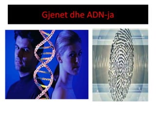 Gjenet dhe ADN-ja 
 
