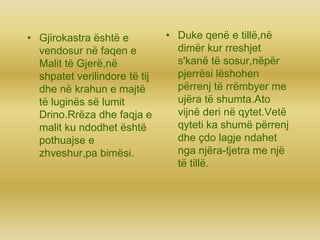• Gjirokastra është e
vendosur në faqen e
Malit të Gjerë,në
shpatet verilindore të tij
dhe në krahun e majtë
të luginës së lumit
Drino.Rrëza dhe faqja e
malit ku ndodhet është
pothuajse e
zhveshur,pa bimësi.
• Duke qenë e tillë,në
dimër kur rreshjet
s'kanë të sosur,nëpër
pjerrësi lëshohen
përrenj të rrëmbyer me
ujëra të shumta.Ato
vijnë deri në qytet.Vetë
qyteti ka shumë përrenj
dhe çdo lagje ndahet
nga njëra-tjetra me një
të tillë.
 