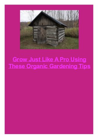 Grow Just Like A Pro Using
These Organic Gardening Tips

 