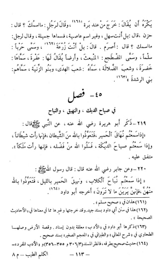 اشيخ الاسلام ابن تيمية