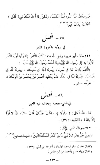 اشيخ الاسلام ابن تيمية