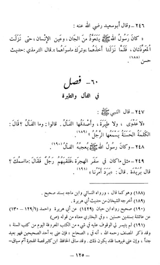 اشيخ الاسلام ابن تيمية