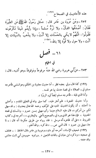 اشيخ الاسلام ابن تيمية