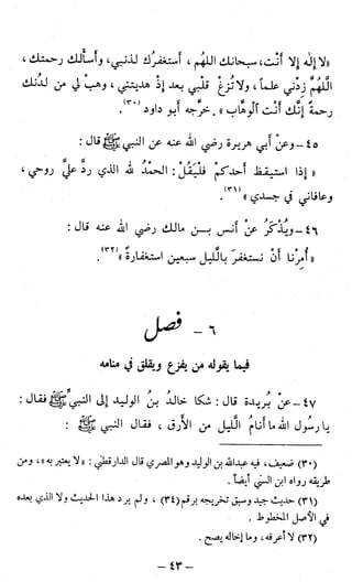 اشيخ الاسلام ابن تيمية