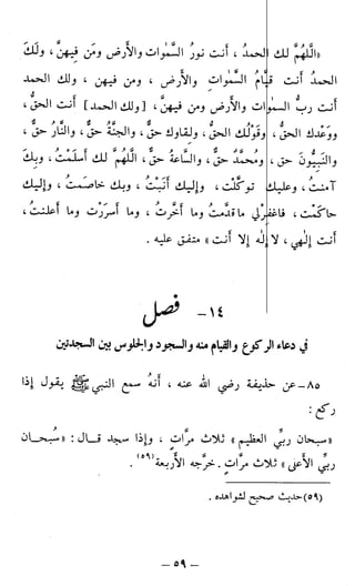 اشيخ الاسلام ابن تيمية