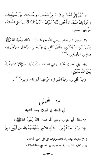 اشيخ الاسلام ابن تيمية