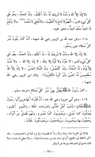 اشيخ الاسلام ابن تيمية