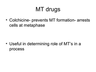 MT drugs 
• Colchicine- prevents MT formation- arrests 
cells at metaphase 
• Useful in determining role of MT’s in a 
process 
 