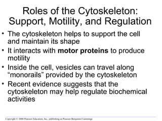 Roles of the Cytoskeleton: 
Support, Motility, and Regulation 
• The cytoskeleton helps to support the cell 
and maintain its shape 
• It interacts with motor proteins to produce 
motility 
• Inside the cell, vesicles can travel along 
“monorails” provided by the cytoskeleton 
• Recent evidence suggests that the 
cytoskeleton may help regulate biochemical 
activities 
Copyright © 2008 Pearson Education, Inc., publishing as Pearson Benjamin Cummings 
 