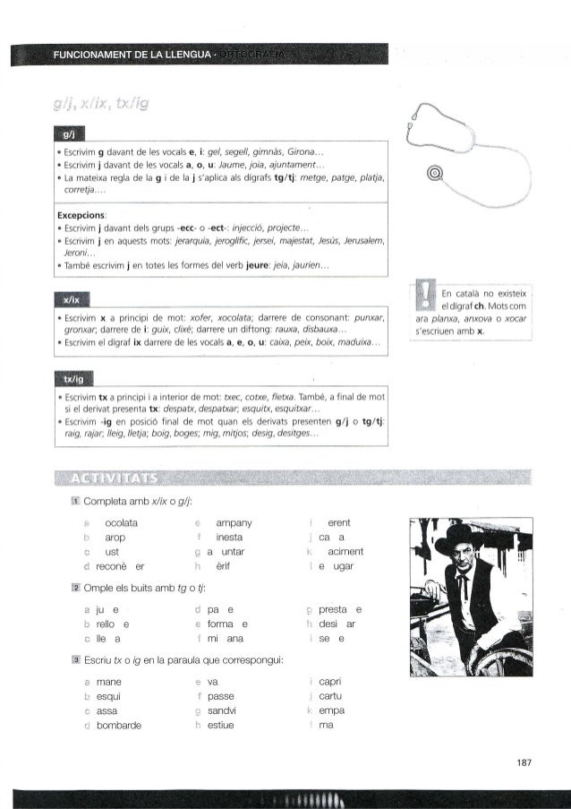 G J Tg Tj Activitats